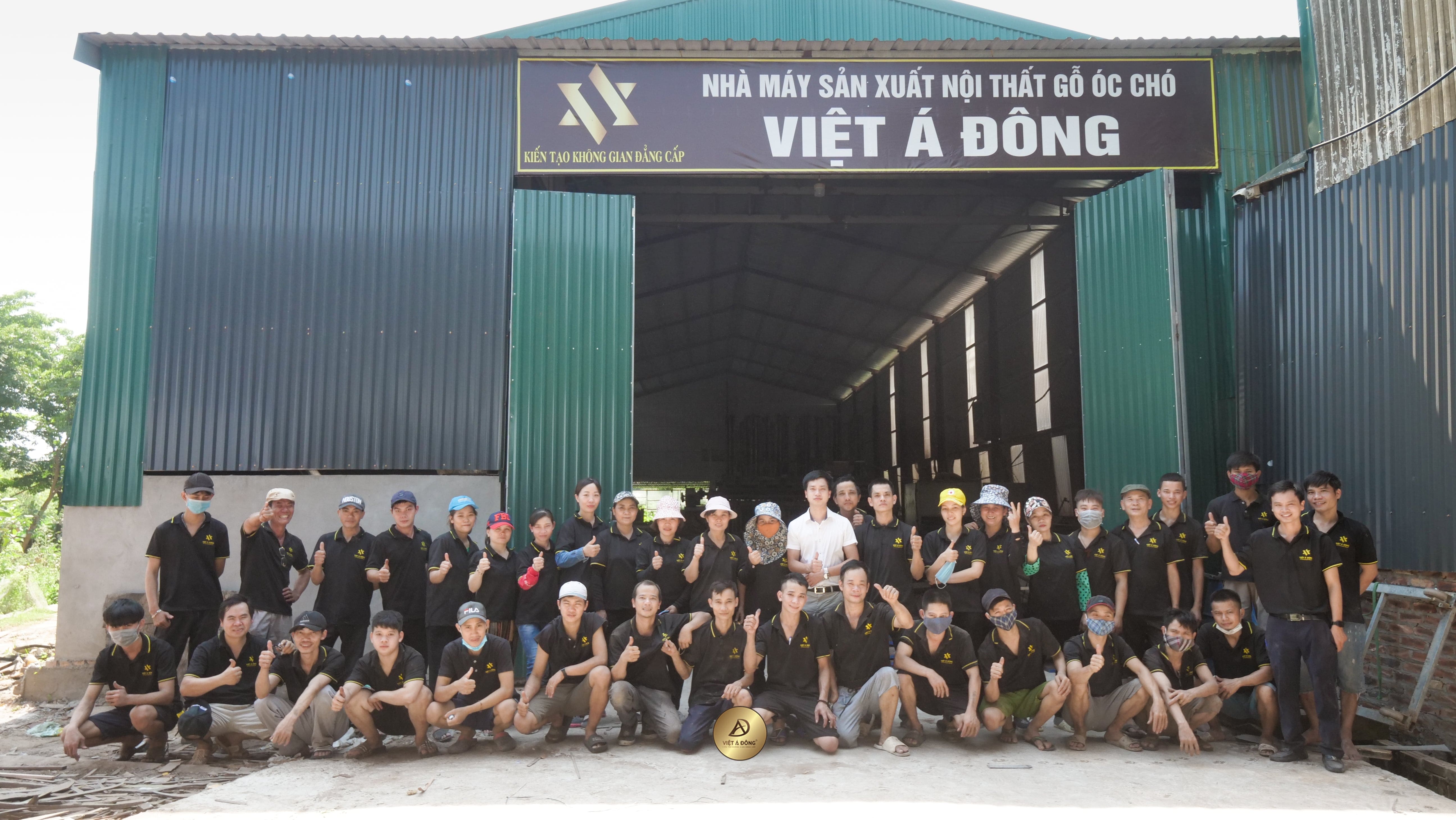 Việt Á Đông là đơn vị thiết kế, và thi công nội thất gỗ óc chó hàng đầu Việt Nam